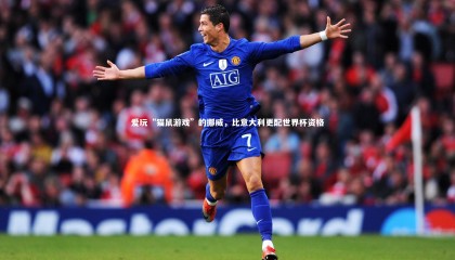 牛八体育平台|爱玩“猫鼠游戏”的挪威，比意大利更配世界杯资格