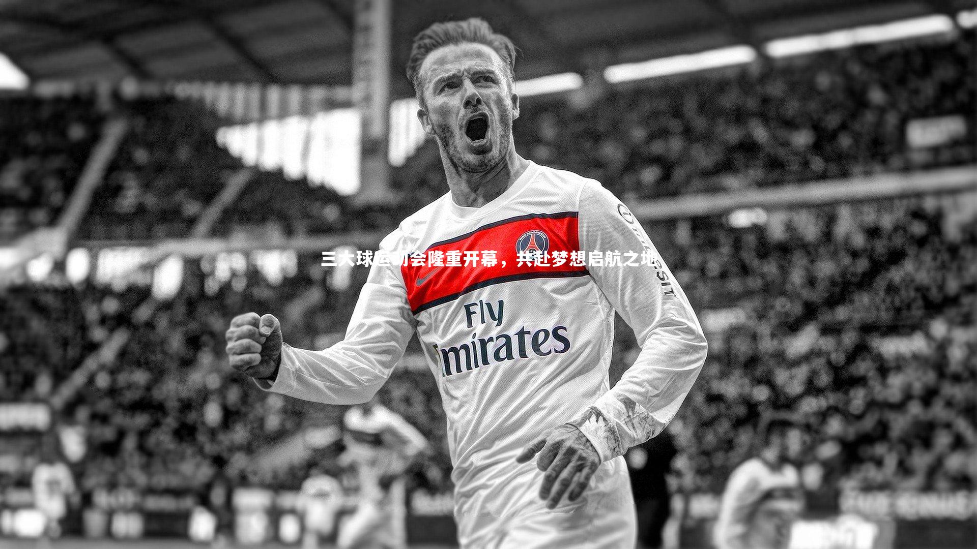 三大球运动会隆重开幕,共赴梦想启航之地